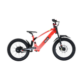 Revvi 20"